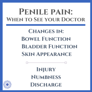 7 Causes of Penis Pain